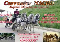 Carruaje, coche de caballos Nacho... ANUNCIOS Buenanuncios.es